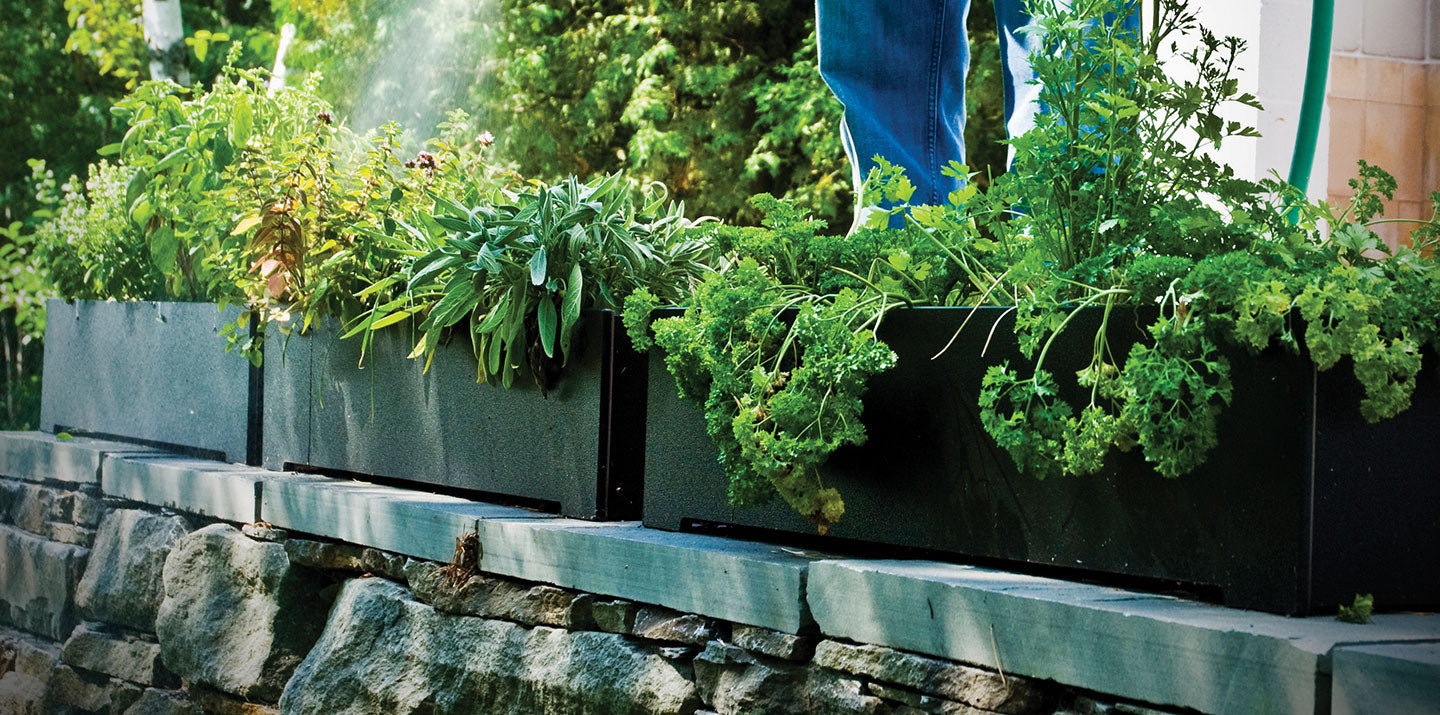 rectangle planter